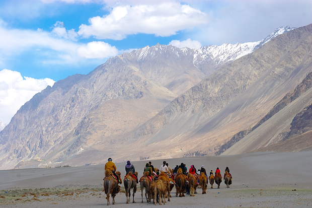 Wonders of Ladakh.